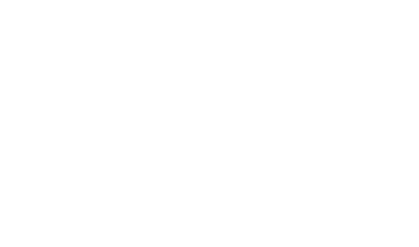 Biomimetic Robotics Lab